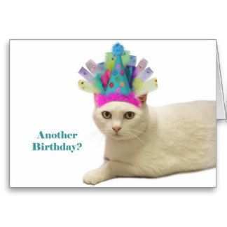 12 Create Birthday Card Template Cat PSD File with Birthday Card Template Cat