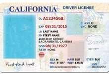 14 Creative Drivers License Id Card Template Now by Drivers License Id Card Template