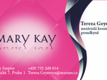15 Online Mary Kay Business Card Template Download With Stunning Design for Mary Kay Business Card Template Download