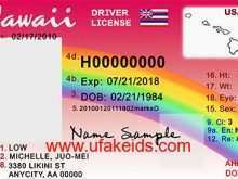 15 Visiting Hawaii Id Card Template With Stunning Design with Hawaii Id Card Template