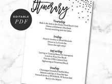 18 Blank Hen Party Agenda Template with Hen Party Agenda Template