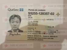 20 Printable Quebec Id Card Template Now for Quebec Id Card Template