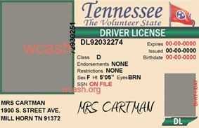 22 Format Tennessee Id Card Template Formating for Tennessee Id Card Template