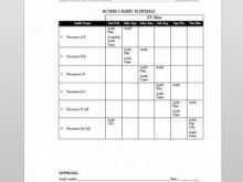 22 Standard 3 Year Audit Plan Template With Stunning Design by 3 Year Audit Plan Template