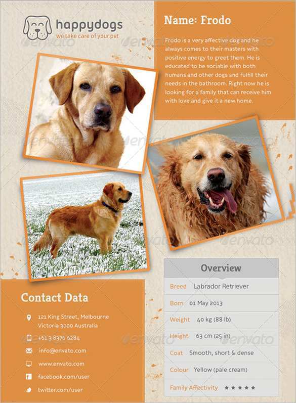 Lost Dog Flyer Template