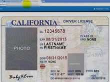 26 Free Printable Drivers License Id Card Template For Free by Drivers License Id Card Template