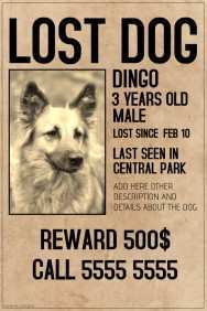26 Free Printable Missing Dog Flyer Template for Ms Word for Missing Dog Flyer Template