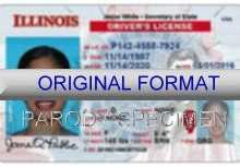 27 Creative Drivers License Id Card Template Photo by Drivers License Id Card Template