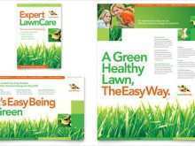 27 How To Create Lawn Care Flyer Template in Word by Lawn Care Flyer Template