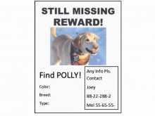 29 Creative Missing Pet Flyer Template Maker for Missing Pet Flyer Template