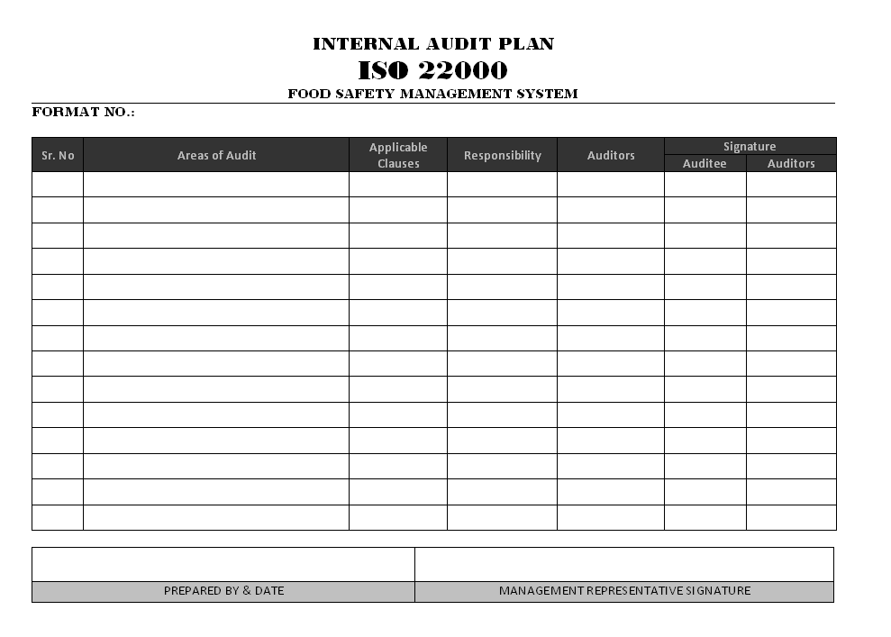 30 Free Printable Audit Plan Template Word in Word for Audit Plan Template Word