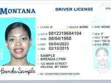 Drivers License Id Card Template