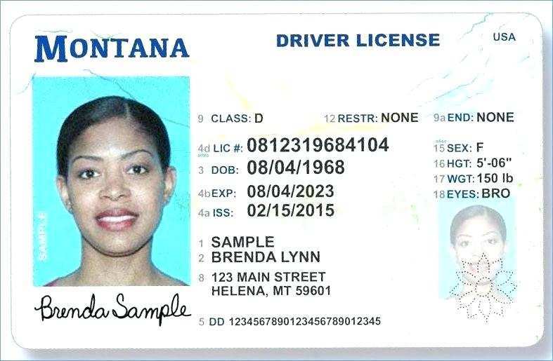 32 Printable Drivers License Id Card Template in Word by Drivers