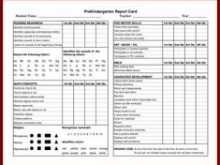 Grade R Report Card Template
