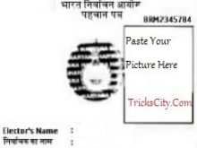 33 Create Voter Id Card Template Templates by Voter Id Card Template