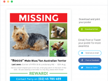 33 Report Missing Pet Flyer Template With Stunning Design for Missing Pet Flyer Template