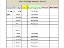 33 Standard Production Schedule Template Pdf Photo for Production Schedule Template Pdf