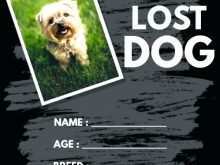 36 Create Lost Dog Flyer Template Word Templates for Lost Dog Flyer Template Word