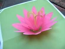 36 Creating Lotus Pop Up Card Template for Ms Word for Lotus Pop Up Card Template