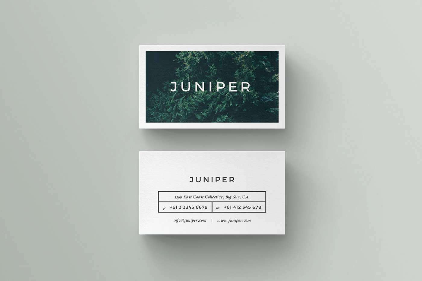 40 Customize Our Free Business Card Template In Indesign Photo with Business Card Template In Indesign
