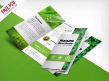 Tri Fold Flyer Template