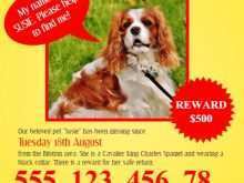 43 Free Missing Pet Flyer Template in Photoshop with Missing Pet Flyer Template