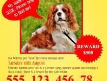 44 Customize Our Free Lost Dog Flyer Template Templates with Lost Dog Flyer Template