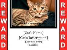 48 Blank Free Lost Cat Flyer Template in Photoshop with Free Lost Cat Flyer Template