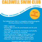 48 Create Swim Team Flyer Templates For Free for Swim Team Flyer Templates