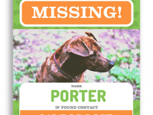 49 Format Missing Dog Flyer Template in Photoshop by Missing Dog Flyer Template