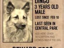 49 Online Missing Pet Flyer Template Formating with Missing Pet Flyer Template