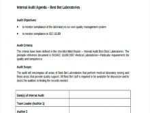 50 Free Printable Internal Audit Plan Template Excel Layouts by Internal Audit Plan Template Excel