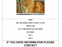 50 Standard Missing Animal Flyer Template Photo with Missing Animal Flyer Template