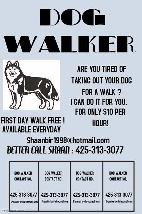 52 Free Printable Dog Walking Flyers Templates Maker by Dog Walking Flyers Templates