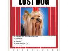 52 Online Lost Dog Flyer Template Download by Lost Dog Flyer Template