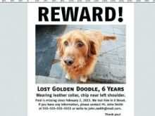 53 Online Missing Dog Flyer Template Maker with Missing Dog Flyer Template