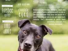 56 Printable Dog Adoption Flyer Template For Free with Dog Adoption Flyer Template