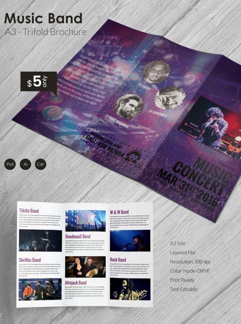 57 Format Music Flyer Templates Free Word Templates By Music Flyer 