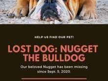 58 Printable Lost Dog Flyer Template Photo by Lost Dog Flyer Template