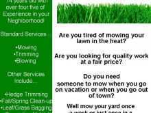 59 Standard Lawn Care Flyer Template Formating for Lawn Care Flyer Template