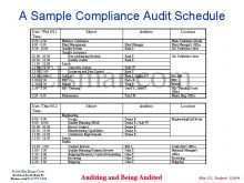 60 Printable 3 Year Audit Plan Template Download for 3 Year Audit Plan Template