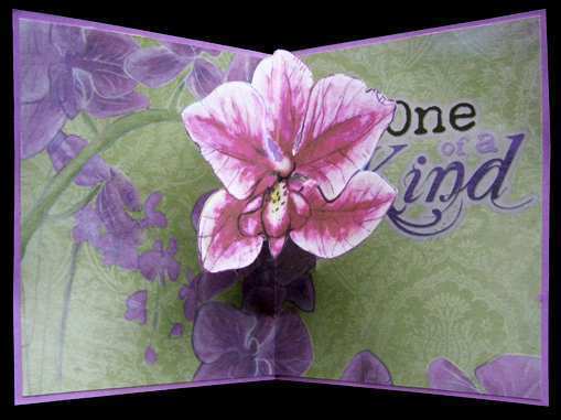 60 Printable Orchid Pop Up Card Template Formating for Orchid Pop Up Card Template