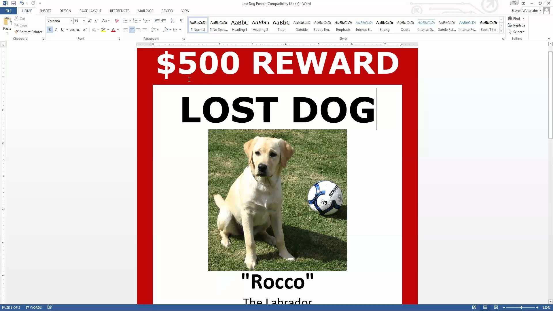 Lost Dog Flyer Template