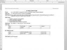62 Online 3 Year Audit Plan Template Templates with 3 Year Audit Plan Template