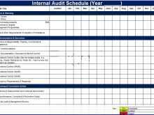 62 Printable Internal Audit Plan Template Excel for Ms Word with Internal Audit Plan Template Excel