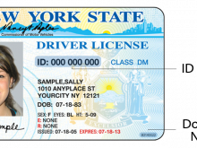 63 Create New York Id Card Template in Photoshop for New York Id Card Template