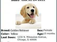 66 Format Missing Dog Flyer Template Download with Missing Dog Flyer Template