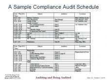 67 Create Annual Audit Plan Template Excel PSD File for Annual Audit Plan Template Excel