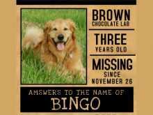 68 Best Missing Dog Flyer Template Download for Missing Dog Flyer Template