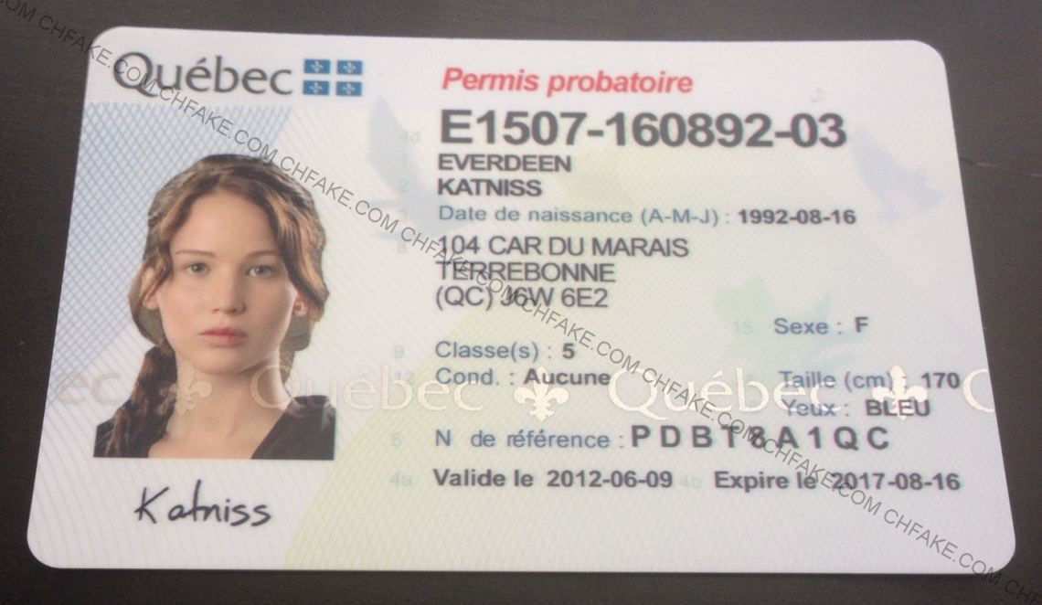68 The Best Quebec Id Card Template Now by Quebec Id Card Template